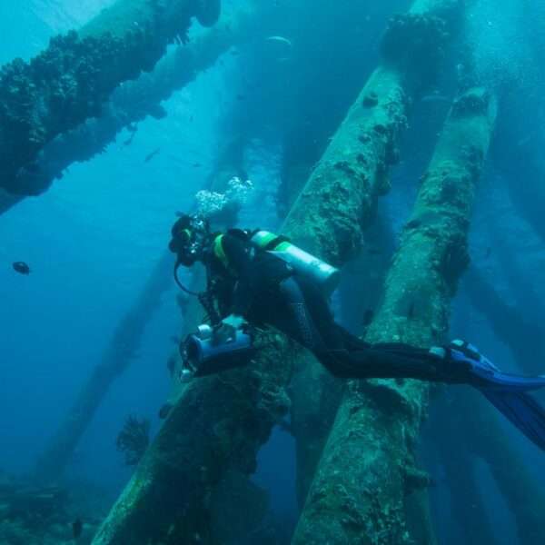 best Bonaire scuba diving packages