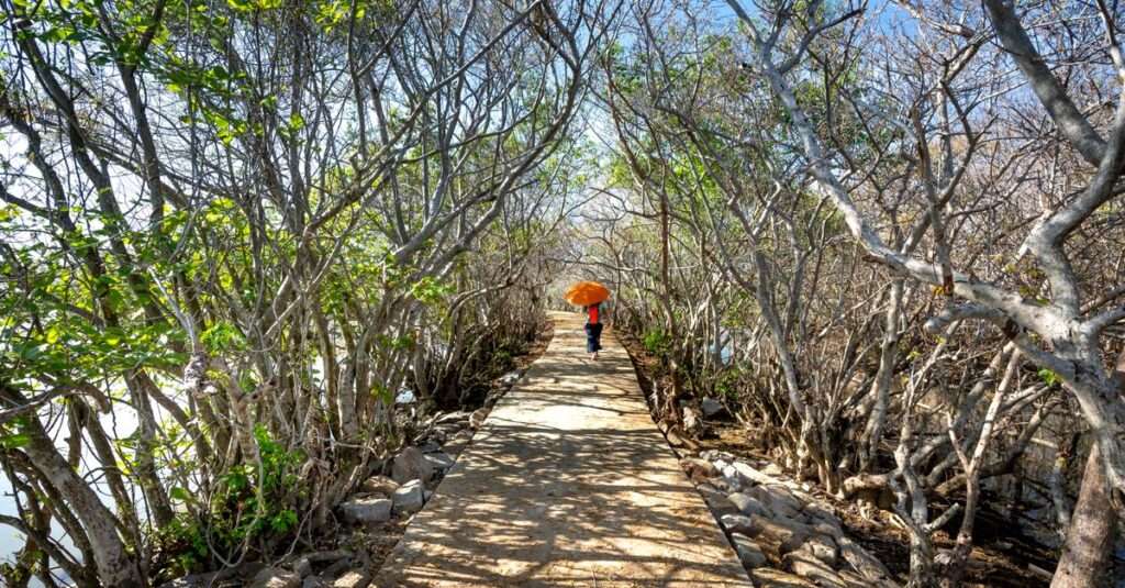 Bonaire hiking adventures for exploring