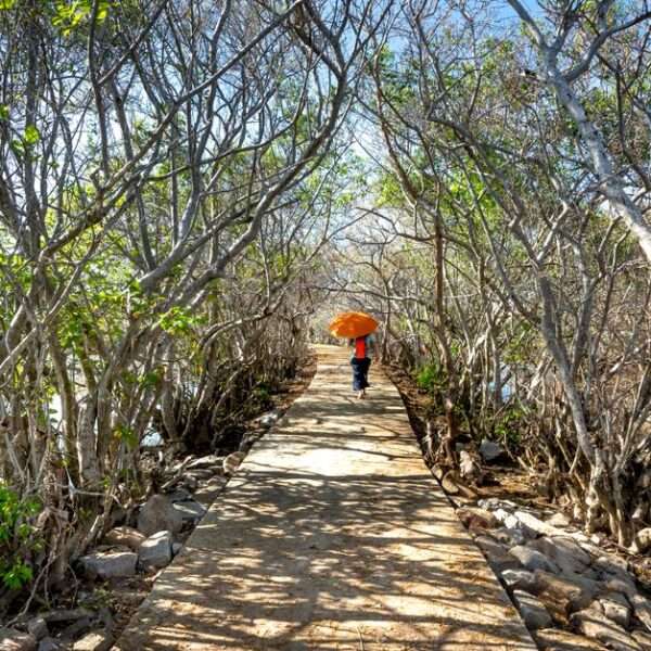 Bonaire hiking adventures for exploring