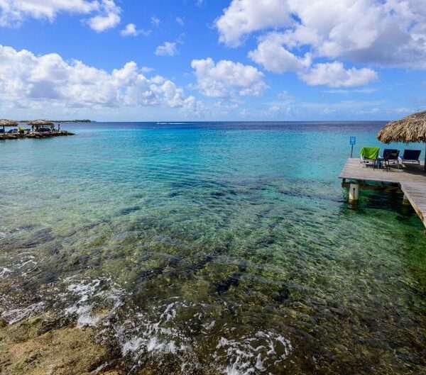 Bonaire snorkeling tips for beginners
