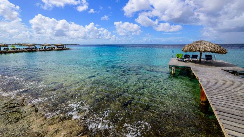 Bonaire snorkeling tips for beginners