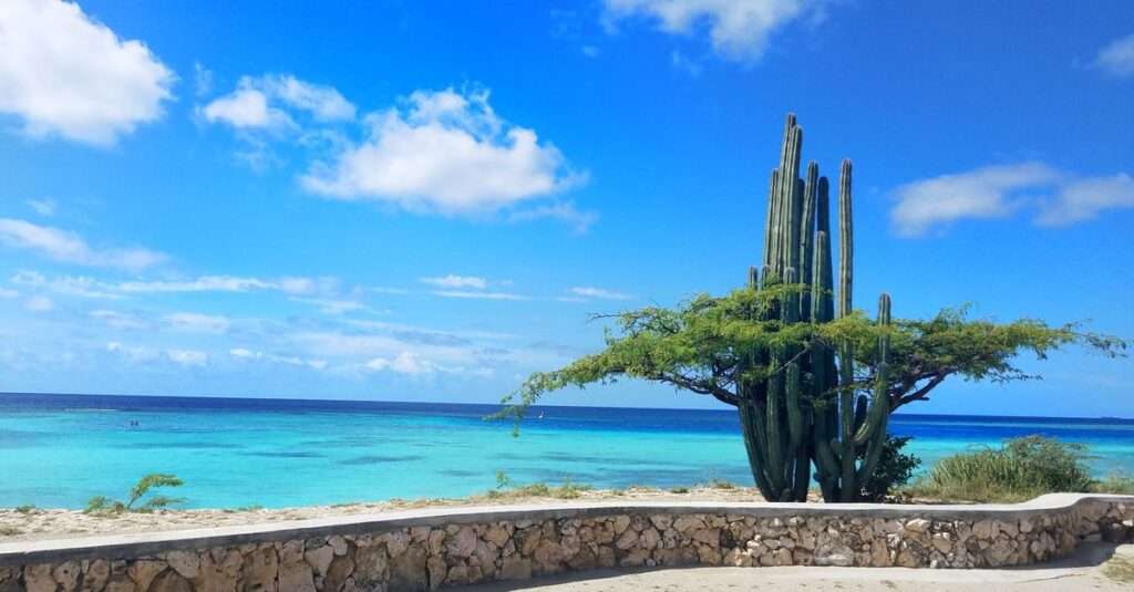 Bonaire sustainable tourism initiatives