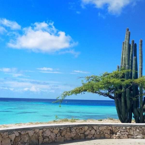Bonaire sustainable tourism initiatives