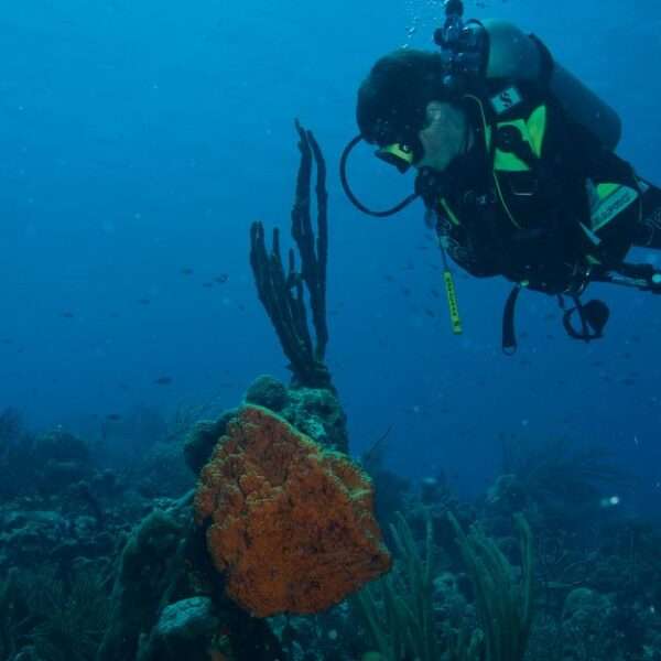 Bonaire adventure activities for kids