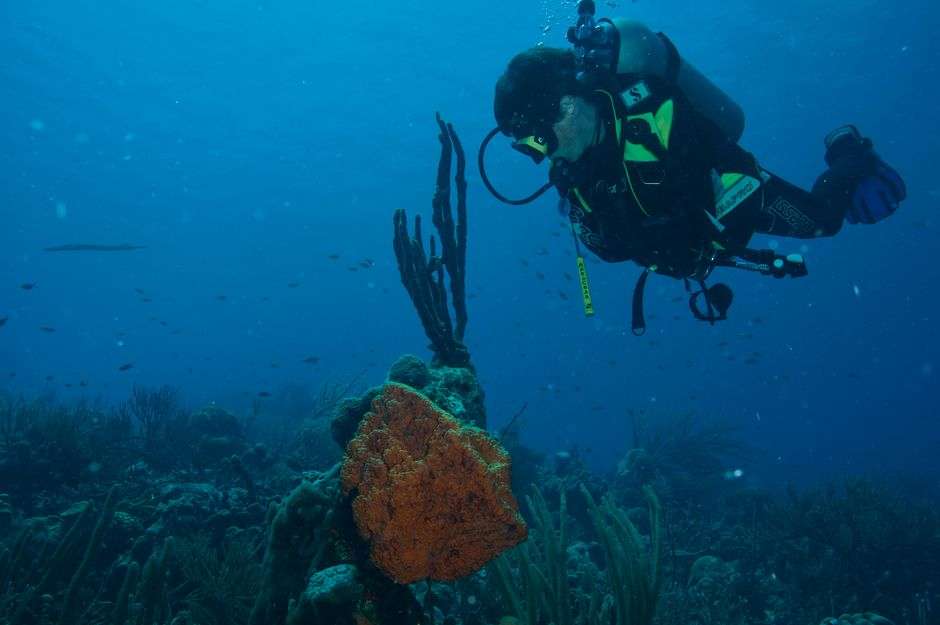 Bonaire adventure activities for kids