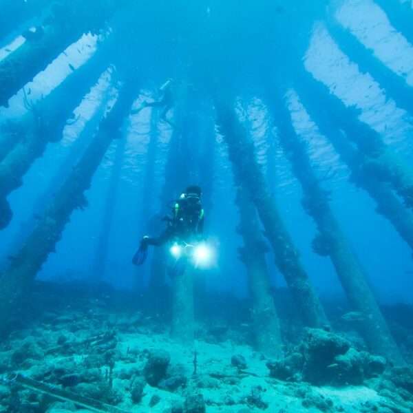 Bonaire diving courses for beginners