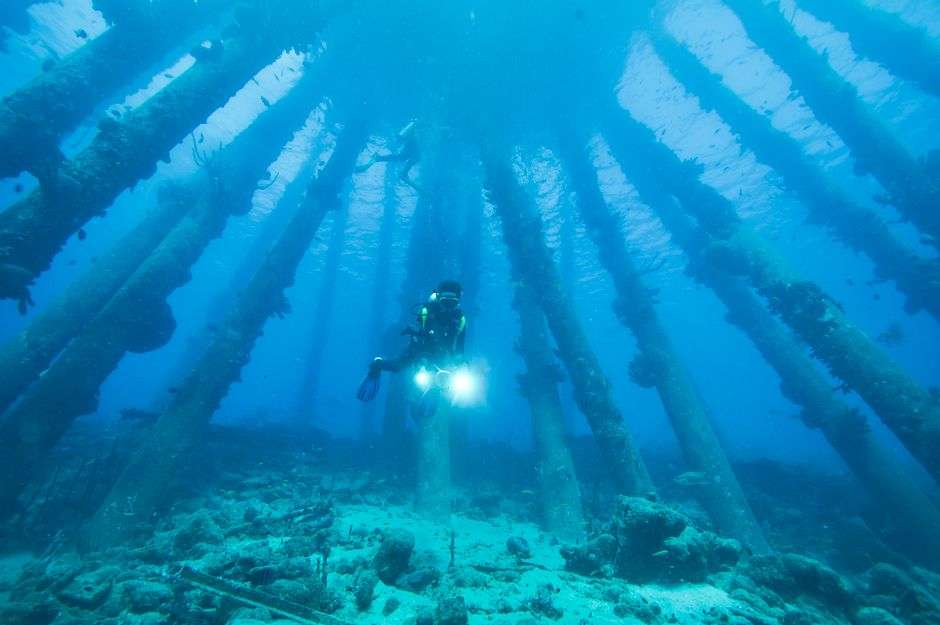 Bonaire diving courses for beginners