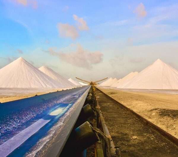 Bonaire eco-tours
