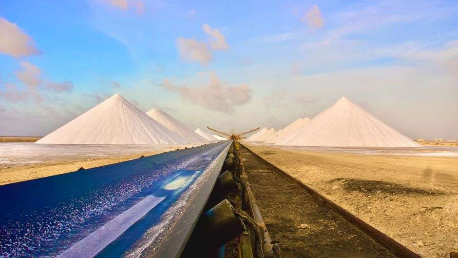 Bonaire eco-tours