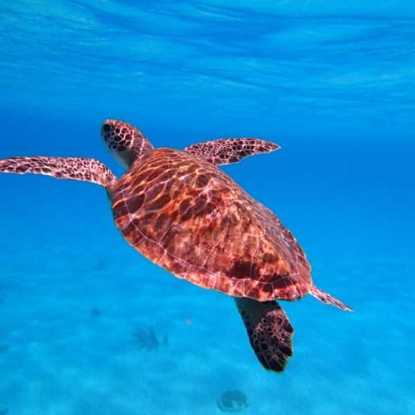 family adventure tours Bonaire