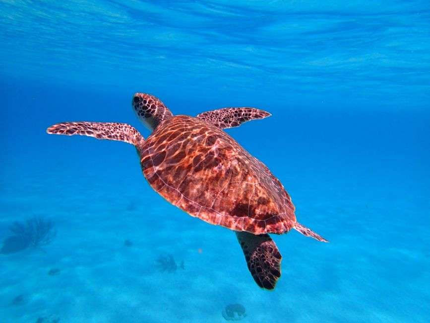 family adventure tours Bonaire