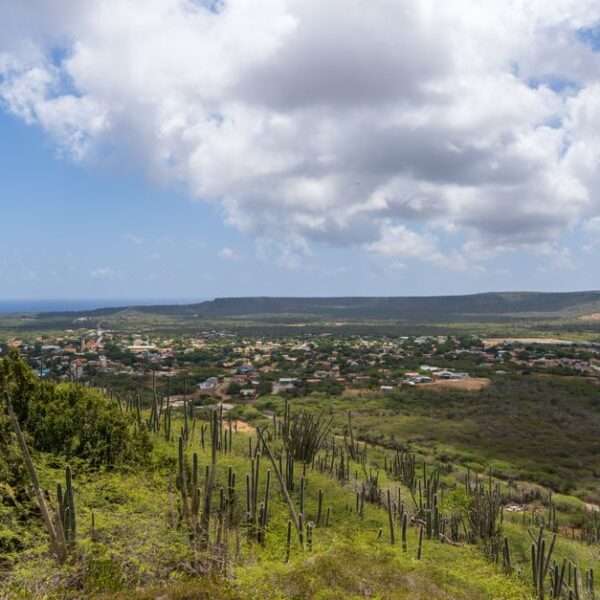 Bonaire custom luxury tours