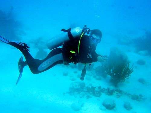 Bonaire fishing experiences