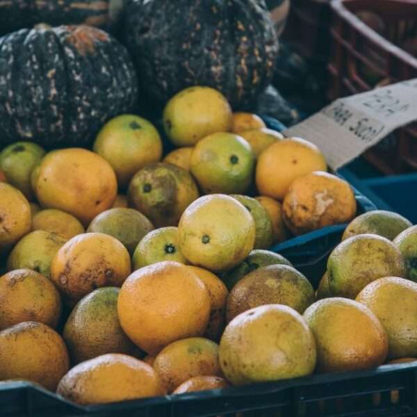 Bonaire local markets