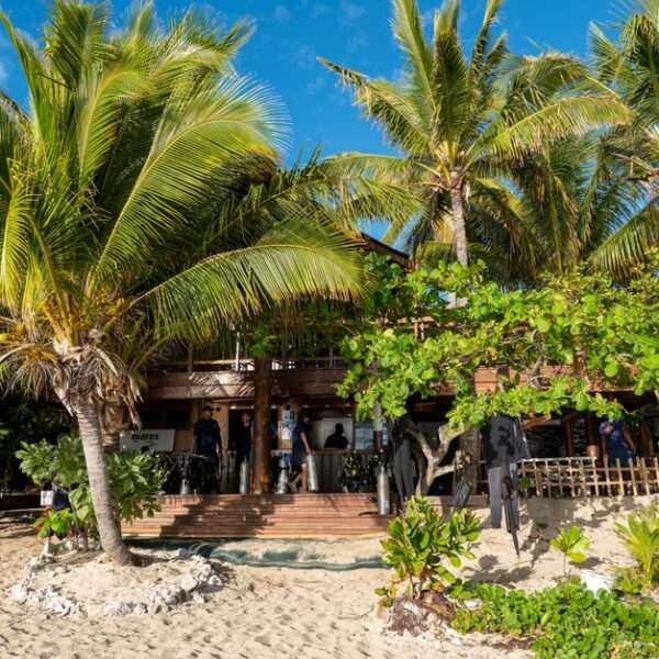 Bonaire retreat experiences