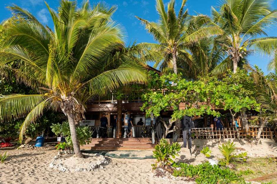 Bonaire retreat experiences