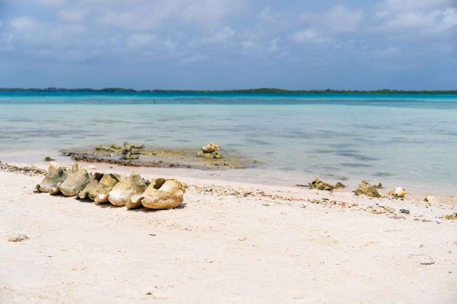 Bonaire wellness experiences