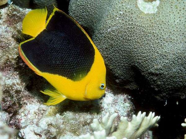Bonaire natural beauty exploration