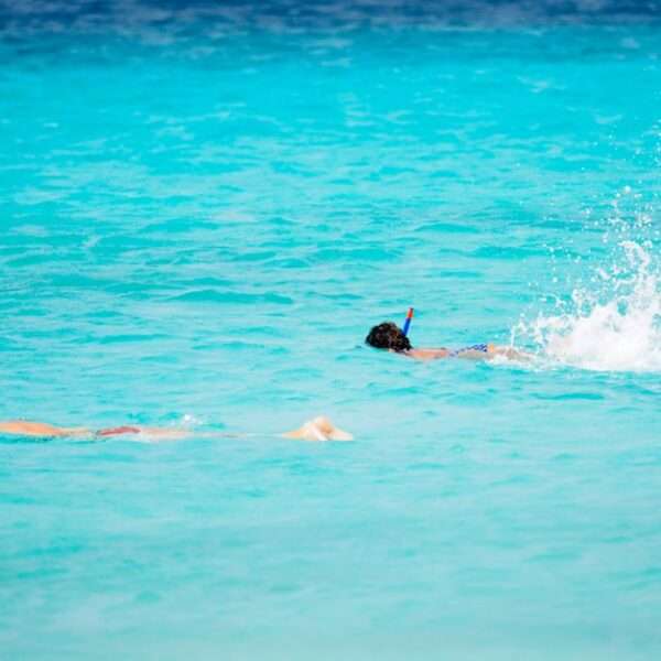 Bonaire snorkeling tips for best experience
