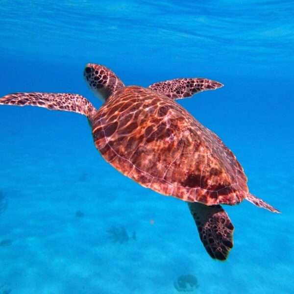 Bonaire wellness adventure hiking tours