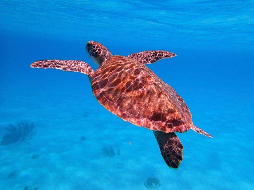 Bonaire wellness adventure hiking tours