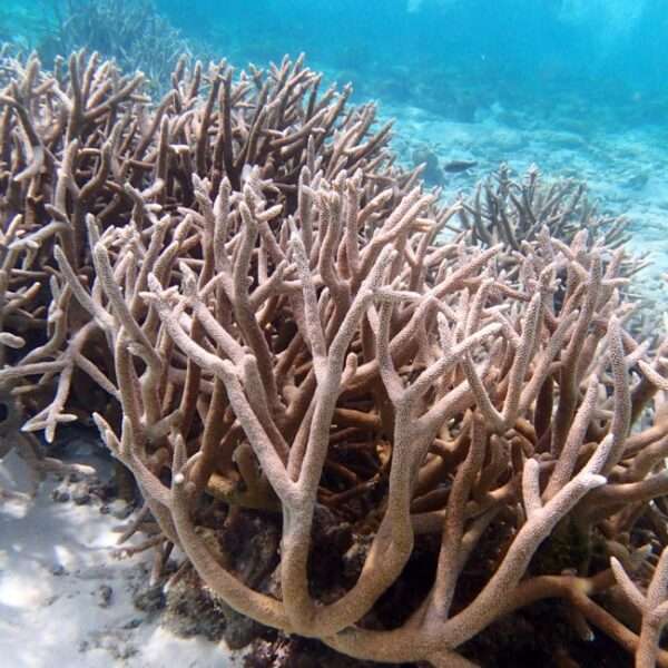 exploring Bonaire's nature trails