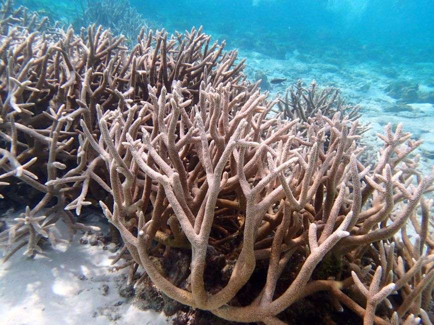 exploring Bonaire's nature trails